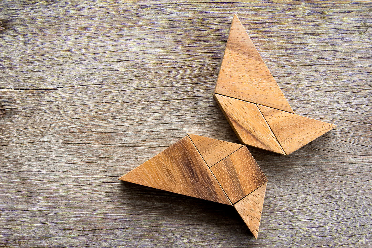 Wooden tangram puzzle in butterfly shape